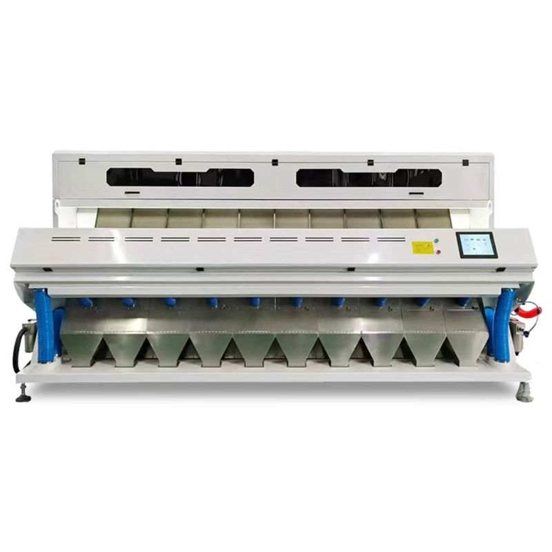 448 Canal 10 T/H Gran clasificador de color de maíz de alta resolución