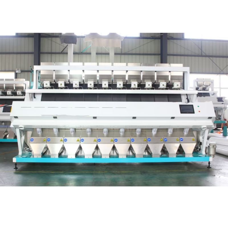 9-18T/H clasificador de colores de trigo de alta precisión CCD 99,99% de precisión