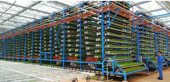 Máquina de cultivo de semillas de hortalizas circulares hacia arriba para granjas verticales