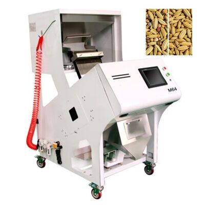 High Precision 64-Channel Color Sorter for Fennel Seeds.