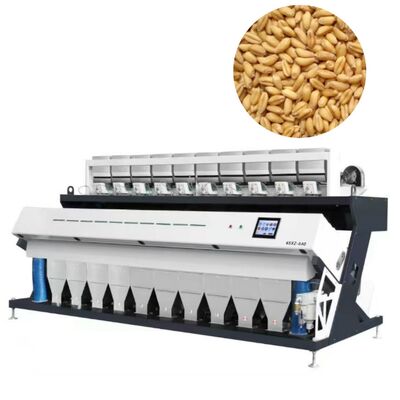 Clasificadora de Color de Granos de Cereal de Alta Resolución 10-Chute 20 T/H para Trigo, Maíz y Granos.