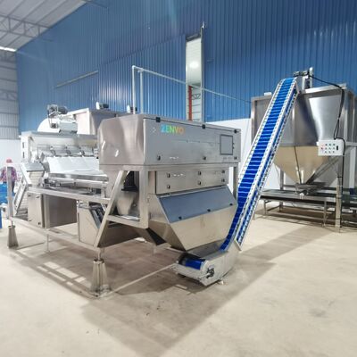 Sortador automático inteligente de cashew con cinturón de una sola cubierta