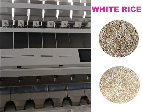 Canales de la máquina 448 del clasificador del color del CCD del arroz blanco 7 canales inclinados