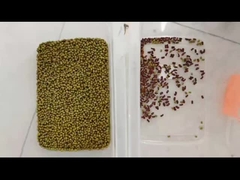 Sortido de color de frijoles