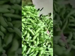Sortidor de colores Edamame