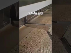 clasificador del color del sésamo