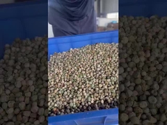 Sortador de guisantes