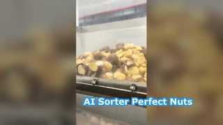 Clasificadora inteligente de color Macadamia con aprendizaje profundo Ai, 128 canales.