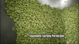 Clasificador de color tipo correa para frijoles edamame congelados