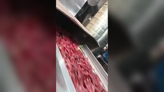 Dos clasificadores de color de chile con seguimiento