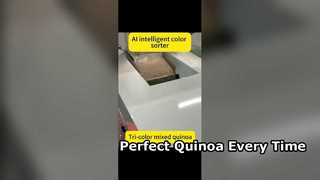 Clasificador por color de alta eficiencia para quinua premium