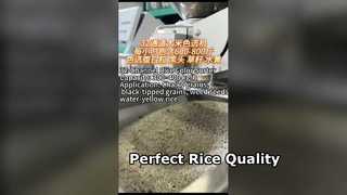 Clasificador de color de arroz de 32 canales para molinos de arroz pequeños y medianos.